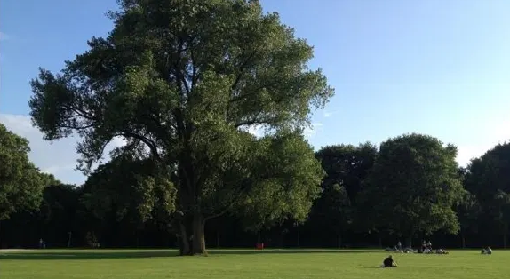 Picknick am 13. September 2026